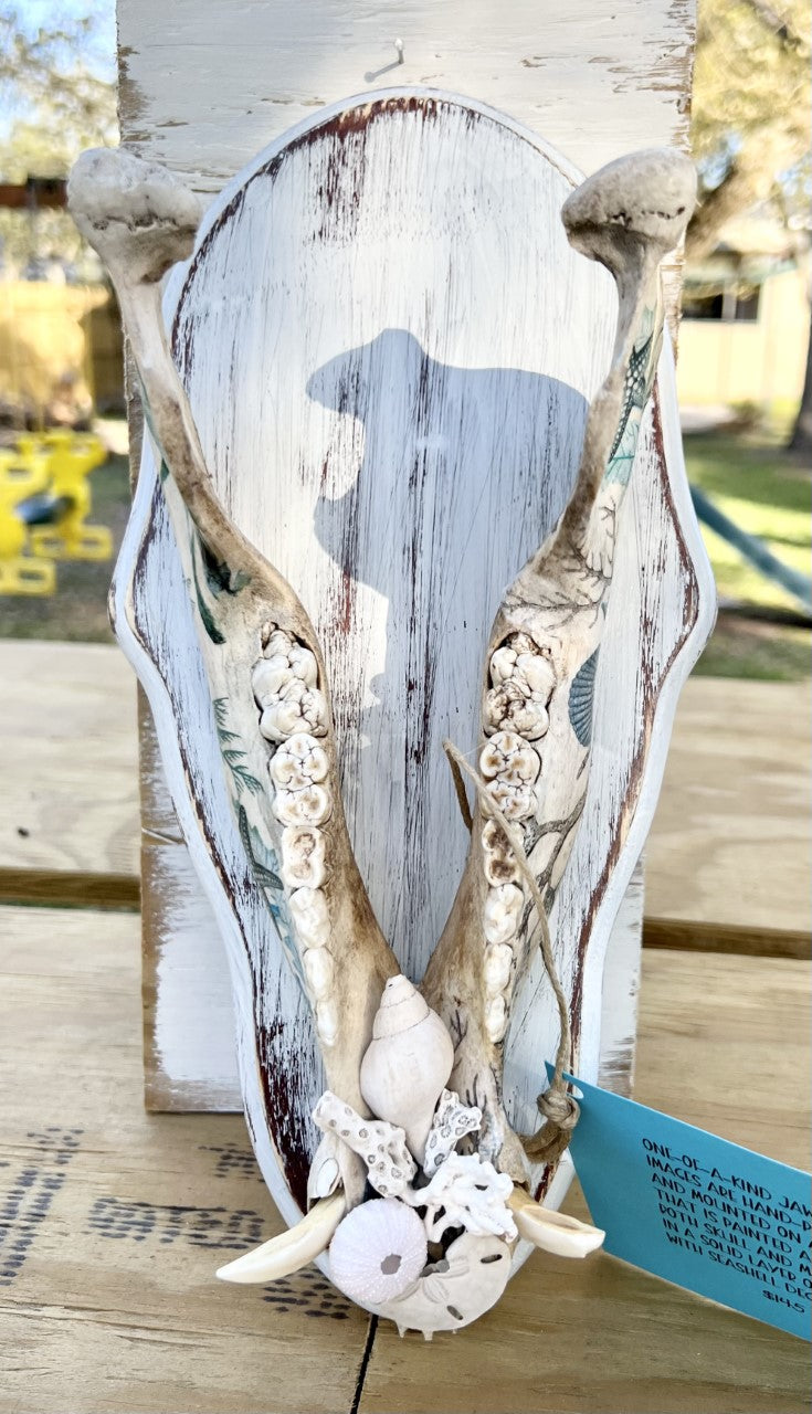 Decopauged Hog Jaw with Seashells