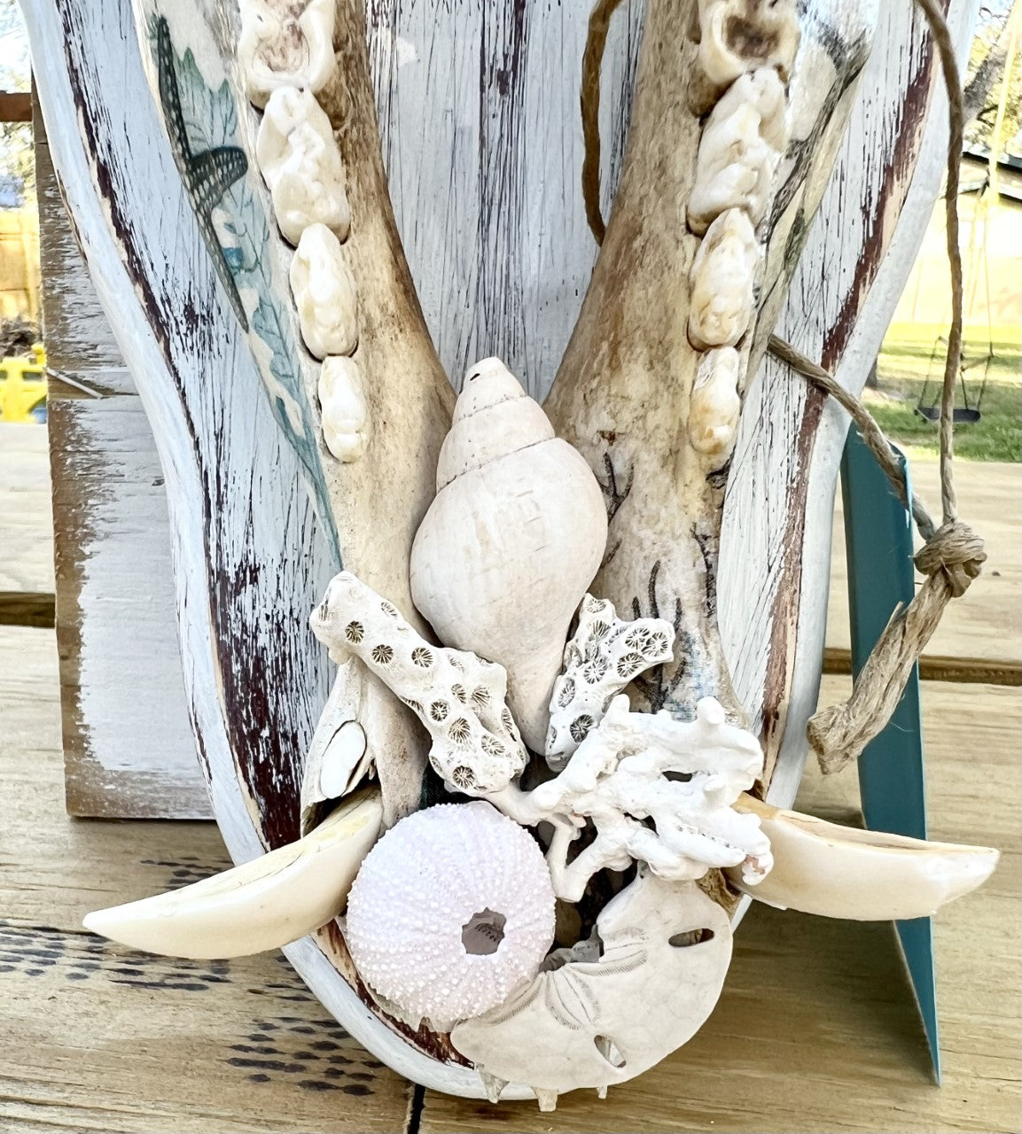 Decopauged Hog Jaw with Seashells