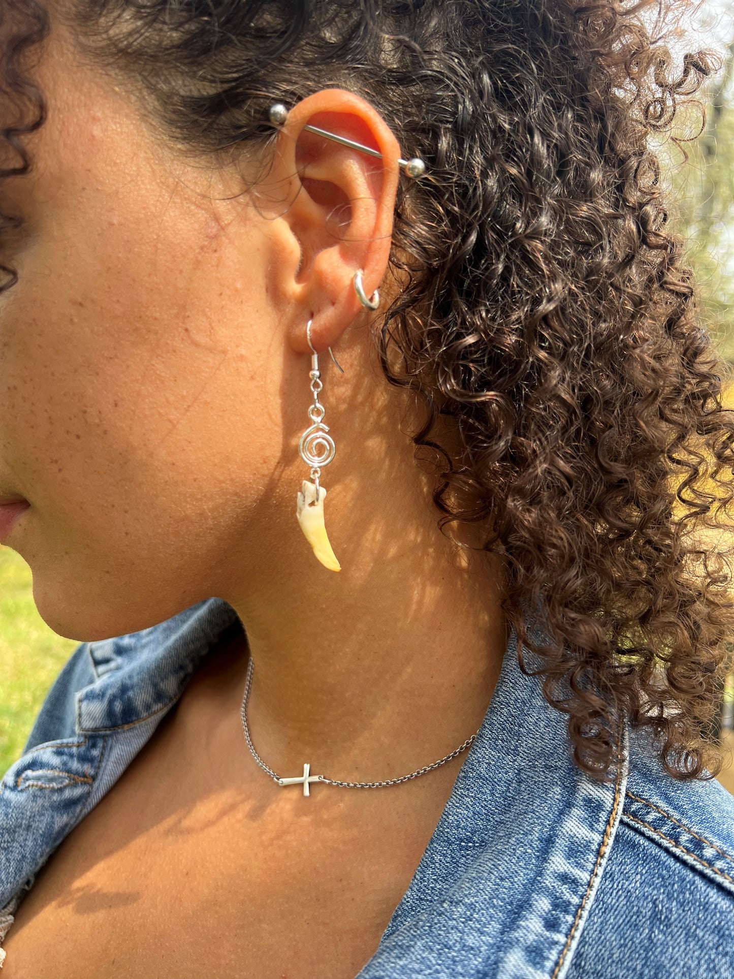 Coyote Spirals - Bone Collection