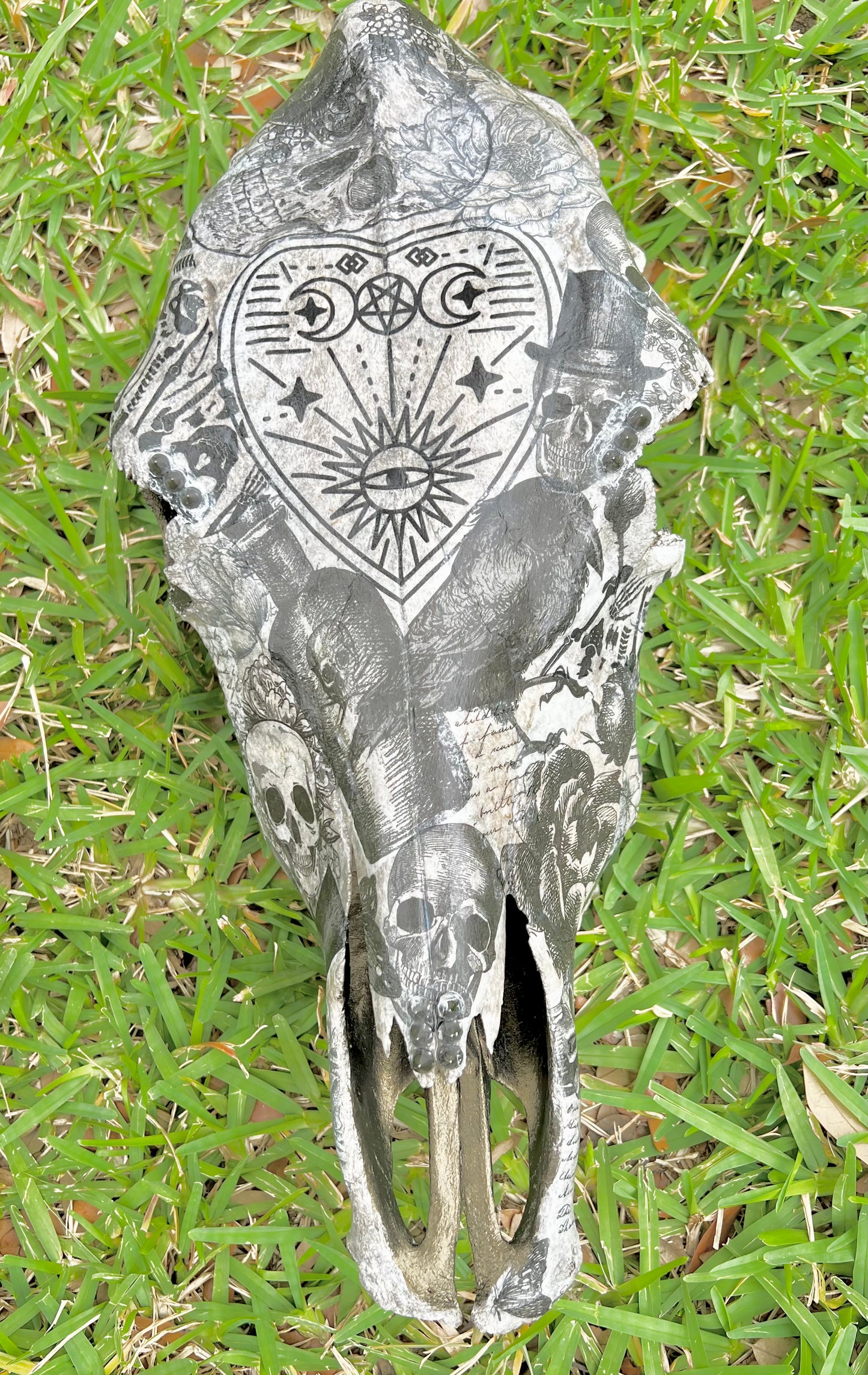 Large Cow Decopauge Skull