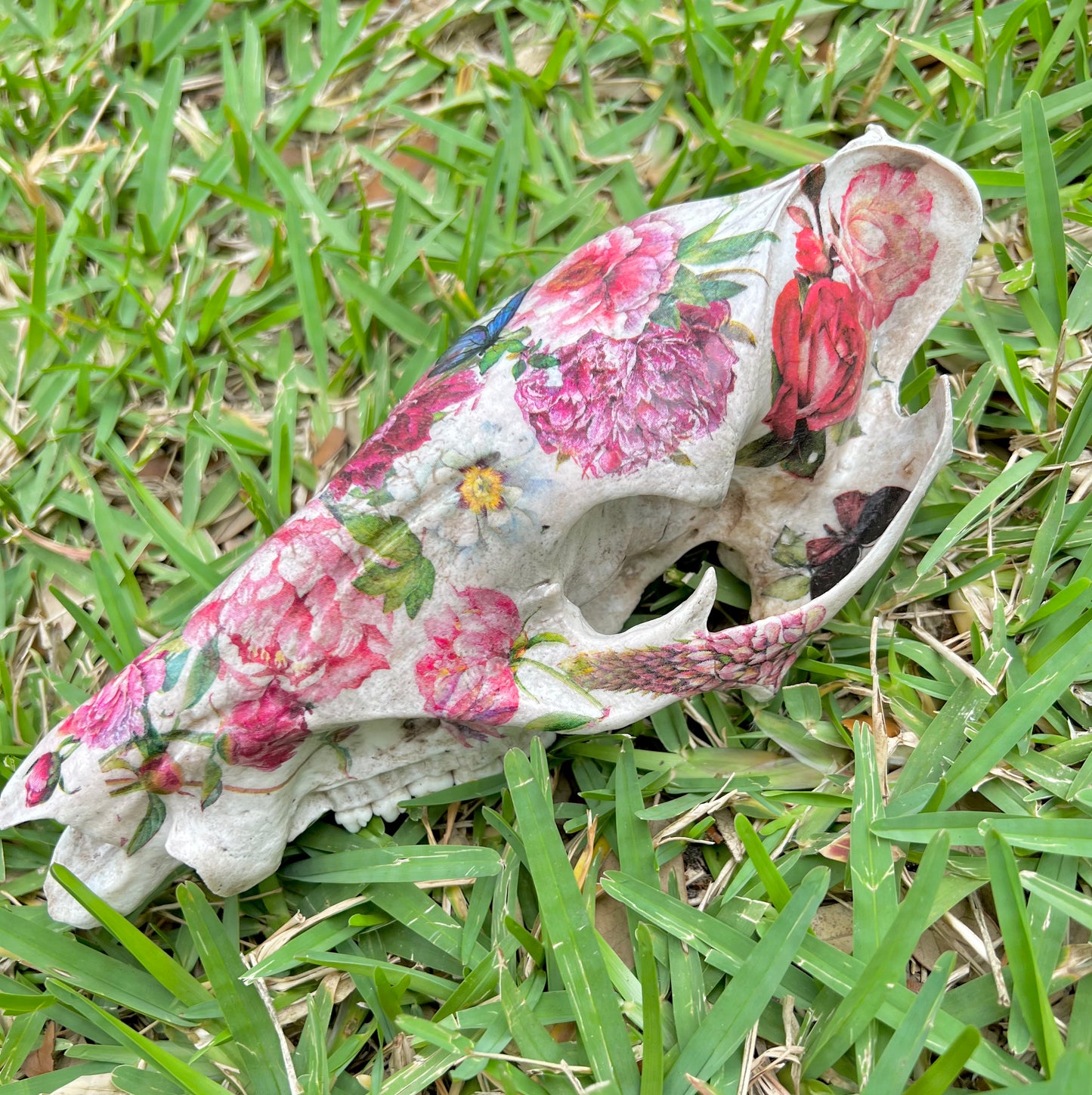 Floral Hog Skull