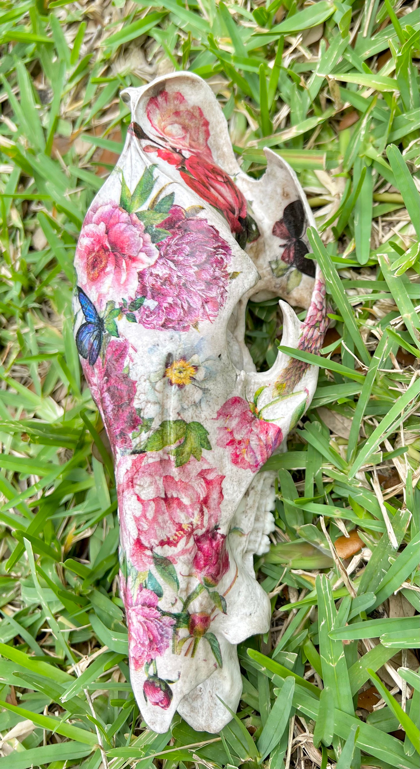 Floral Hog Skull