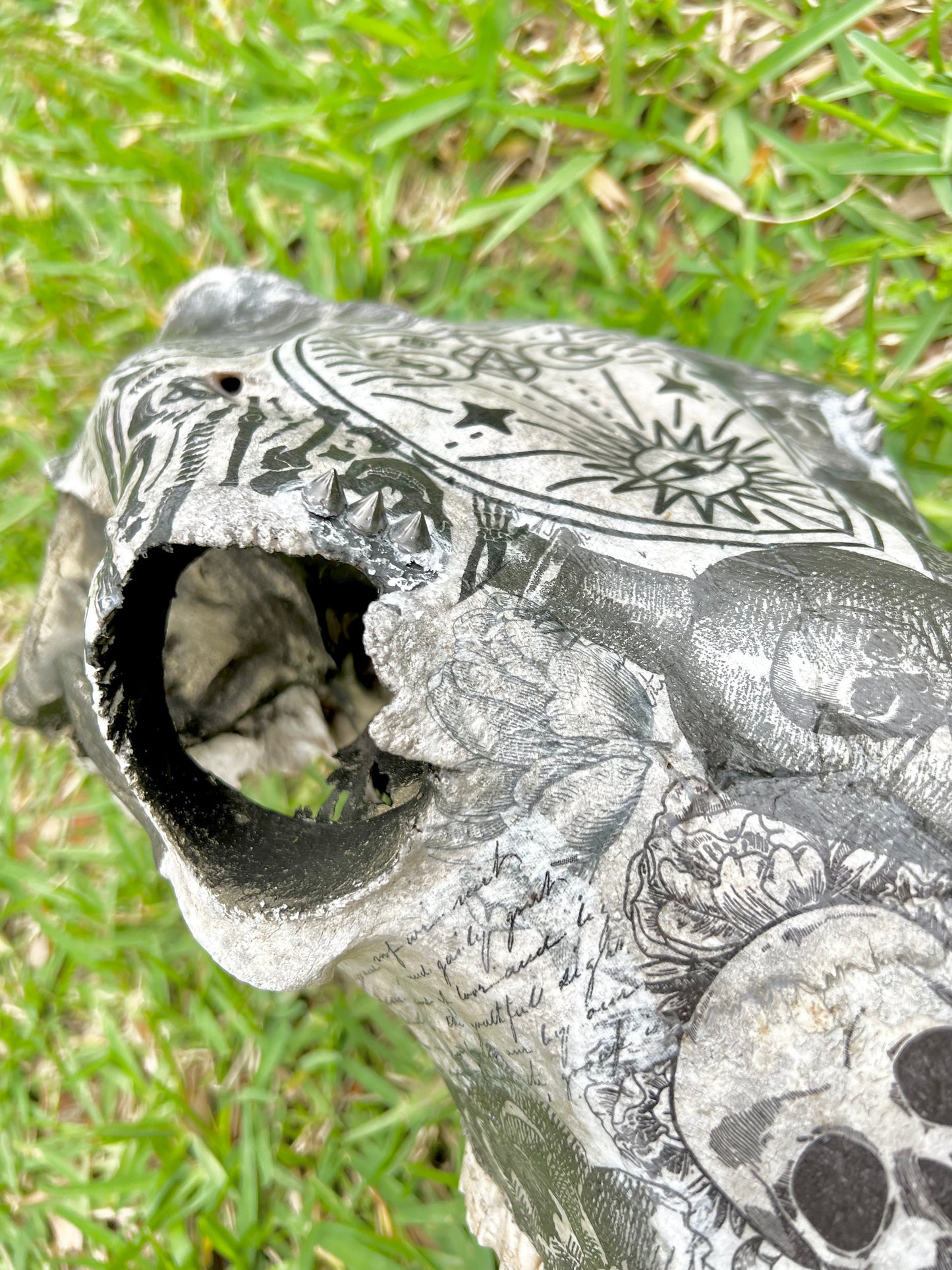 Large Cow Decopauge Skull