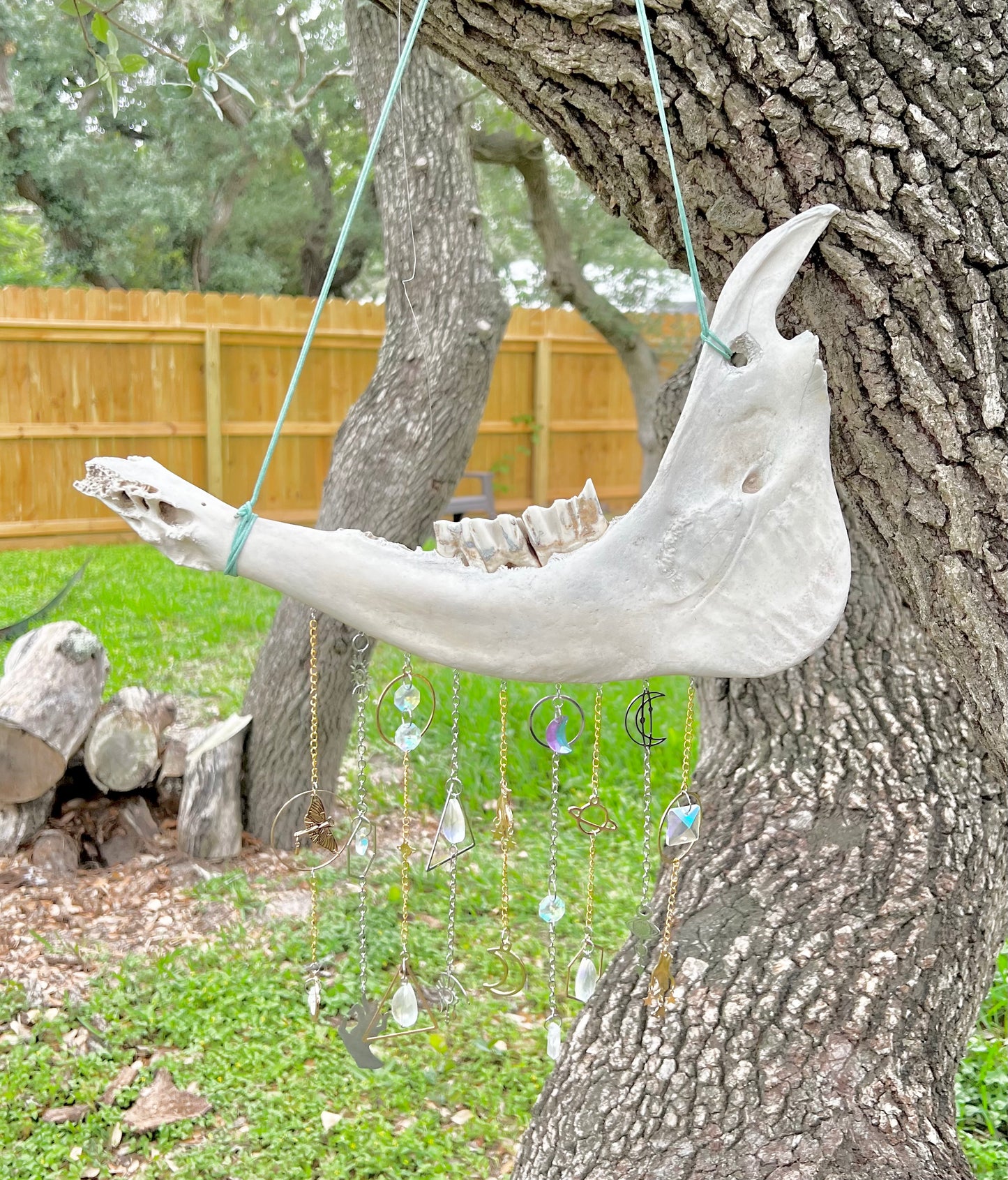 Cow Jaw Suncatcher