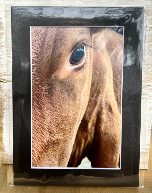 5x7 Brown Cow Print