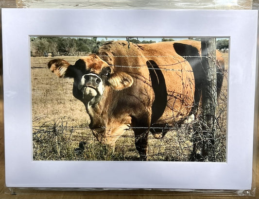 5x7 Sassy Cow Print